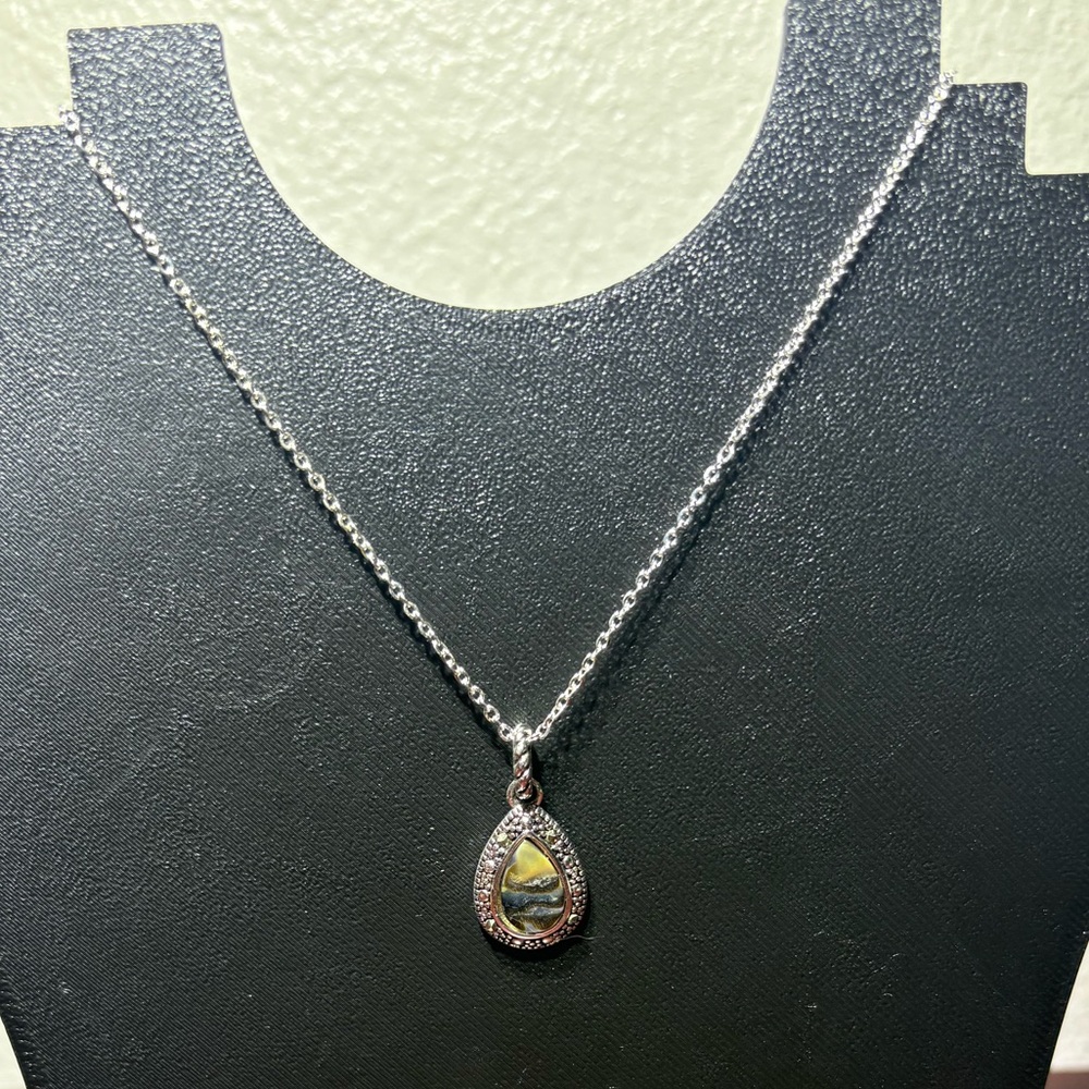 Abalone Charm Necklace